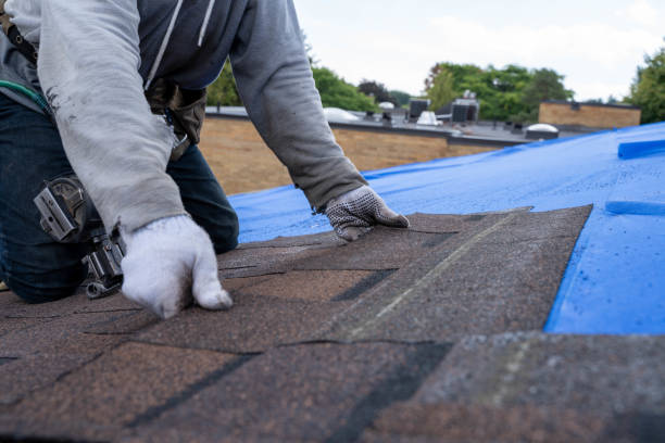 Gutter Installation and Roofing